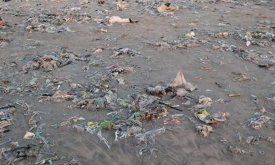 Australia reduces Plastic Bag Use