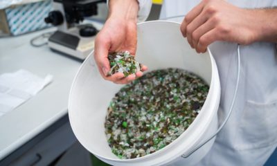 Sharp Solution for Waste Glass