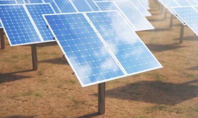 India solar plant investment