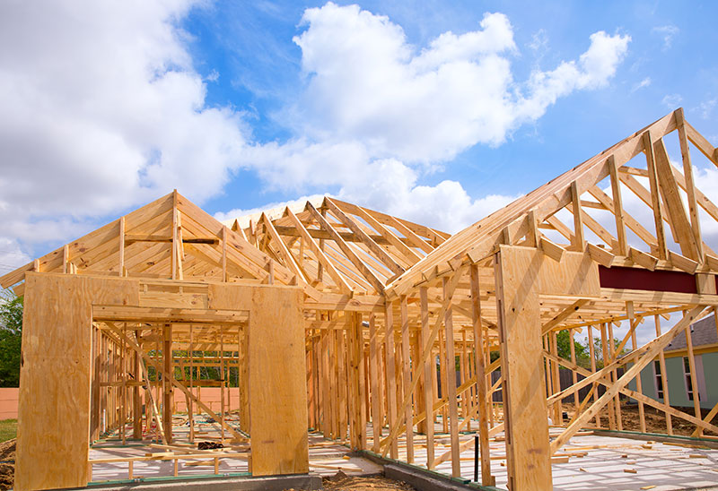 Forests provide jobs